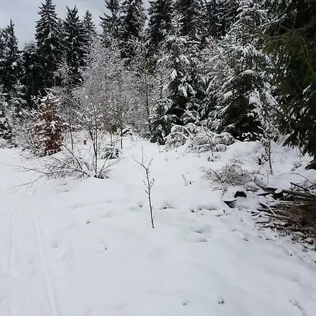 Rosalie - Lake - Hiking&Swimming - Cozy&Nature Winterberg Exterior foto